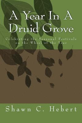Shawn C. Hebert - A Year In A Druid Grove: Celebrating the Seasonal Festivals on the Wheel of the Year, Häftad