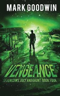 bokomslag Vengeance: A Post-Apocalyptic, EMP-Survival Thriller