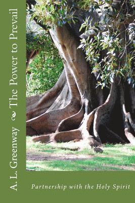 Alfred L. Greenway - The Power to Prevail, Häftad