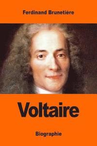 bokomslag Voltaire