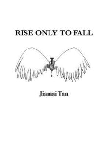 bokomslag Rise only to Fall: Fictional Novel