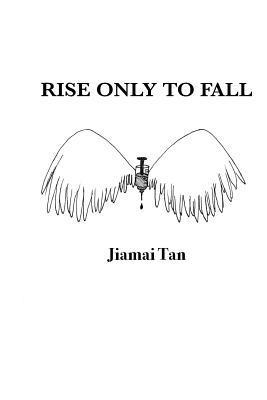 bokomslag Rise only to Fall: Fictional Novel