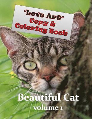 Helena VD Klashorst - Love Art Copy & Coloring Book: Beautiful Cat, Häftad