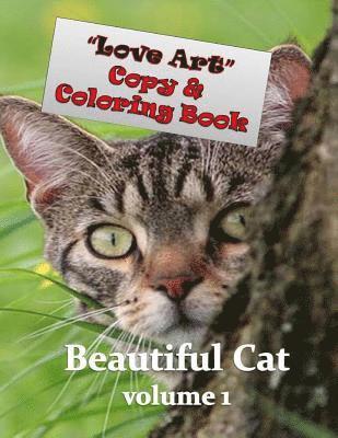 Love Art Copy & Coloring Book: Beautiful Cat 1