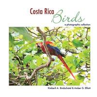 bokomslag Costa Rica Birds: A Photographic Collection
