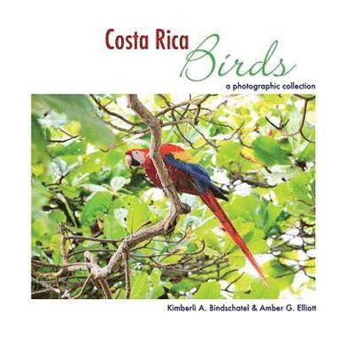 bokomslag Costa Rica Birds: A Photographic Collection