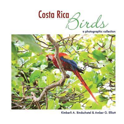 Costa Rica Birds: A Photographic Collection 1