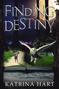 bokomslag Finding Destiny