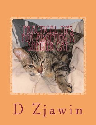 D. A. Zjawin - Practical Tips for Adopting a Shelter Cat, Häftad