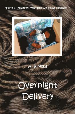 Overnight Delivery 1