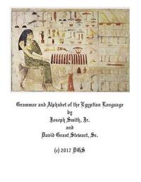 bokomslag Grammar and Alphabet of the Egyptian Language