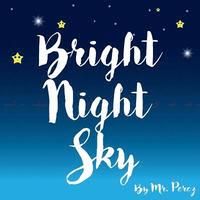 bokomslag Bright Night Sky