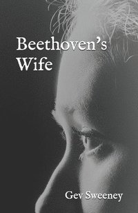 bokomslag Beethoven's Wife