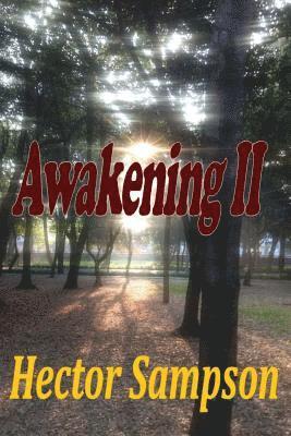 bokomslag Awakening II