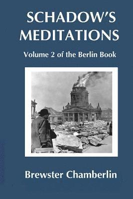 bokomslag Schadow's Meditations