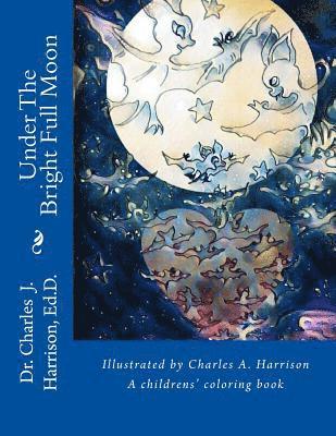bokomslag Under The Bright Full Moon