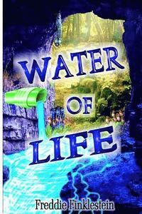 bokomslag Water of Life