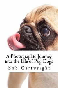bokomslag A Photographic Journey into the Life of Pug Dogs