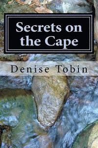 bokomslag Secrets on the Cape