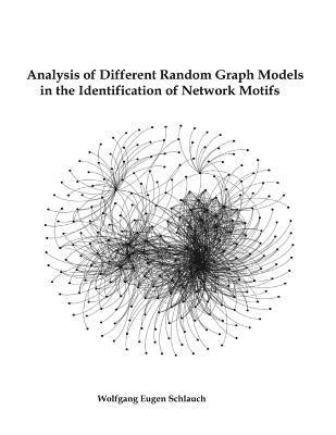 bokomslag Analysis of Different Random Graph Models in the Identification of Network Motifs