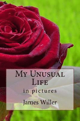 bokomslag My Unusual Life: in pictures