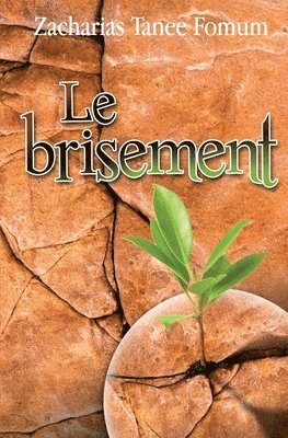 Brisement