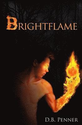 bokomslag Brightflame