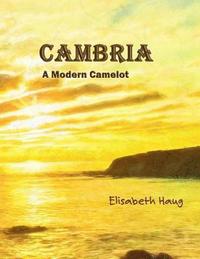 bokomslag Cambria A Modern Camelot