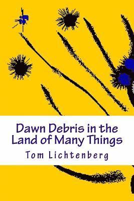 Tom Lichtenberg - Dawn Debris in the Land of Many Things, Häftad