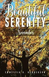 bokomslag Beautiful Serenity: November