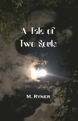 bokomslag A Tale of Two Souls