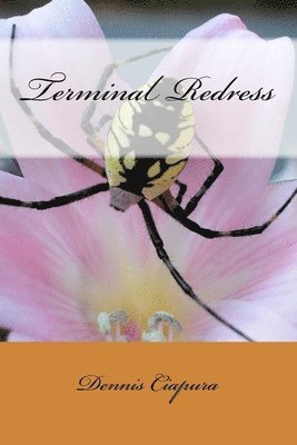 Terminal Redress 1