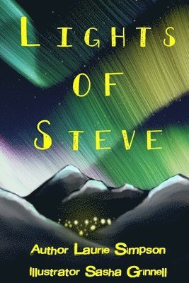 bokomslag Lights of Steve: A Children's Introduction to Having Enough