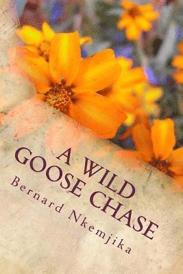 A wild goose chase 1