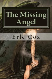 bokomslag The Missing Angel