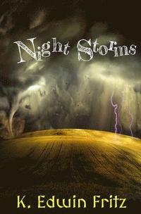 bokomslag Night Storms