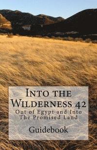 bokomslag Into the Wilderness 42: Out of Egypt and into The Promised Land