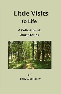 bokomslag Little Visits to Life: A Collection of Short Stories