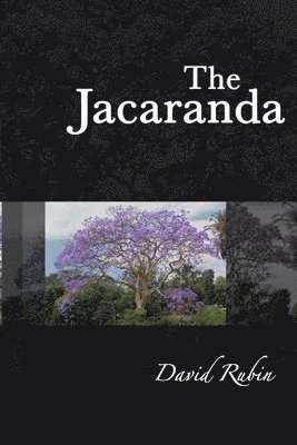 The Jacaranda 1