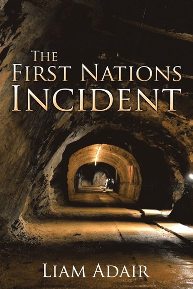 bokomslag First Nations Incident
