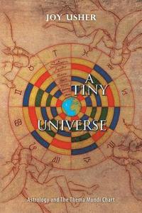 bokomslag Tiny Universe