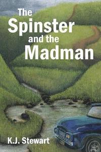 bokomslag Spinster and the Madman