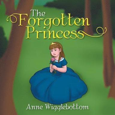 bokomslag Forgotten Princess