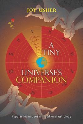 A Tiny Universe'S Companion 1