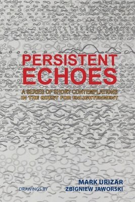 bokomslag Persistent Echoes