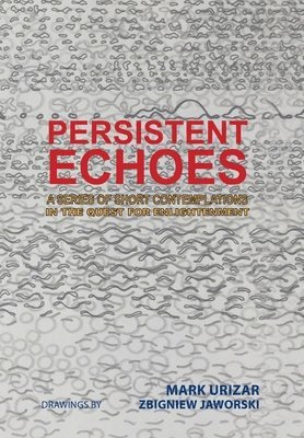 bokomslag Persistent Echoes