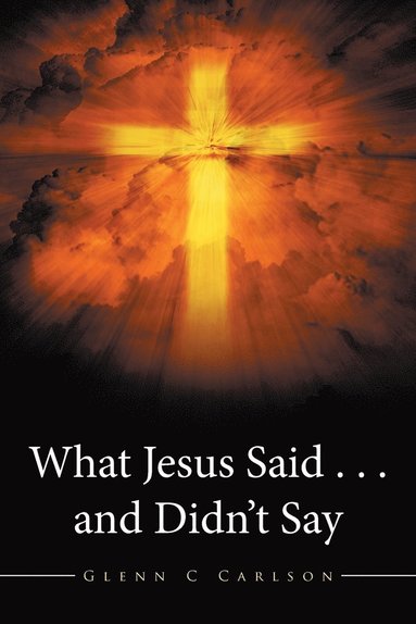 bokomslag What Jesus Said . . . and Didn't Say