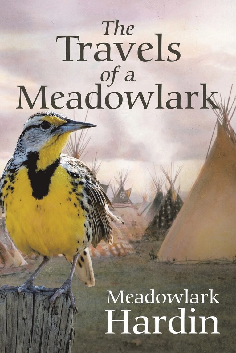 The Travels of a Meadowlark 1