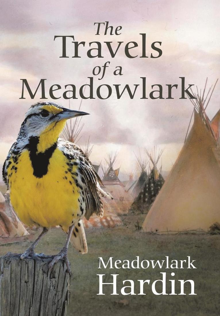 The Travels of a Meadowlark 1