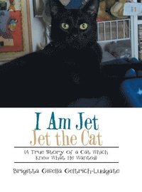 bokomslag I Am Jet Jet the Cat